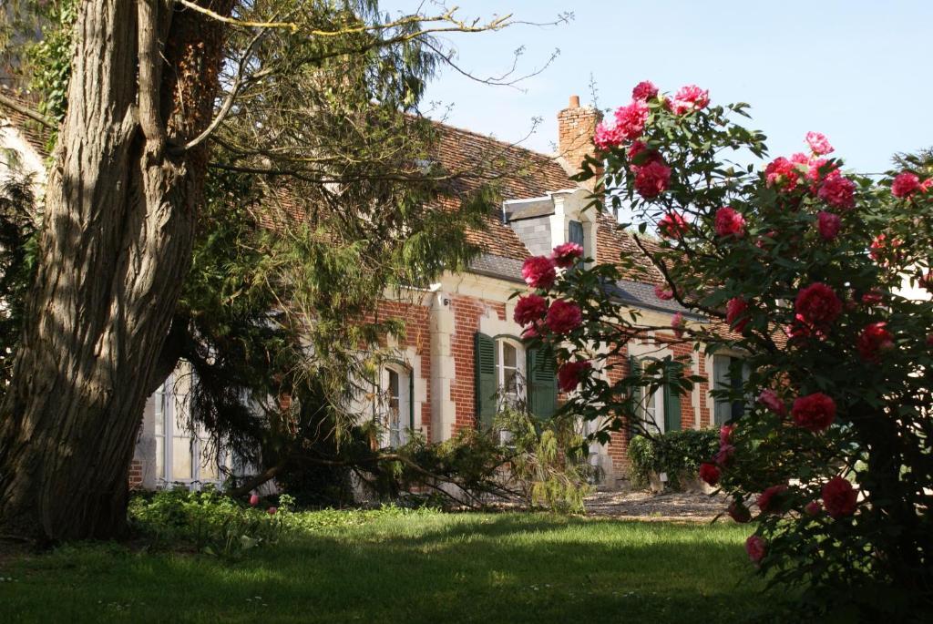 Le Beguinage Acomodação com café da manhã Cour-Cheverny Exterior foto